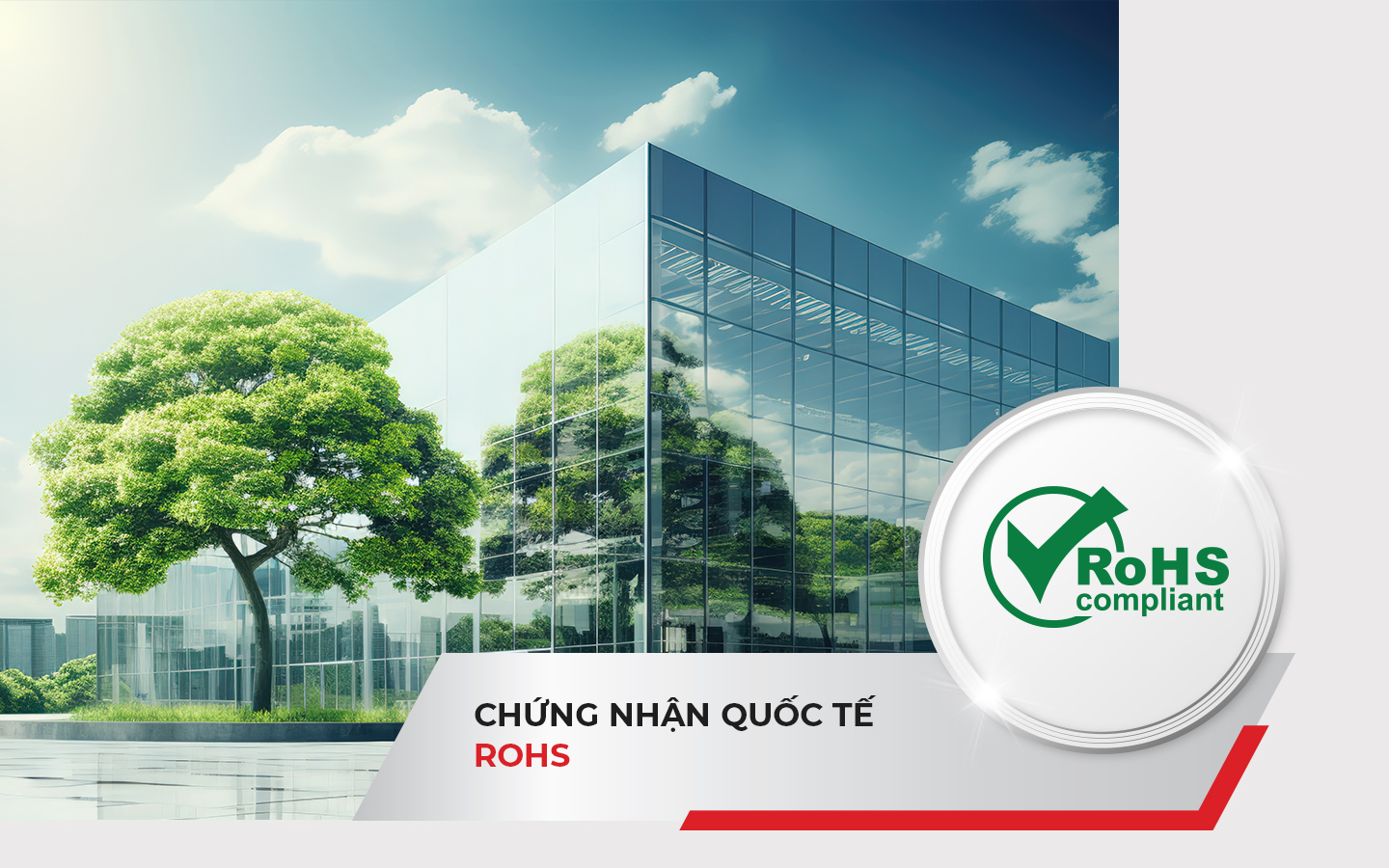 maxpro_tintuc_chungnhan_rohs